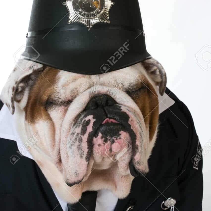 ChujemoMate FACEIT avatar