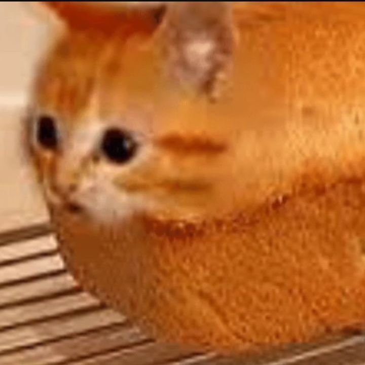 syv0rn