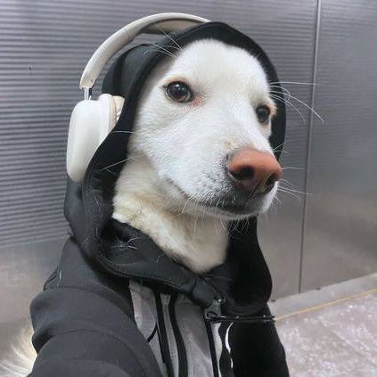 c0ldzy