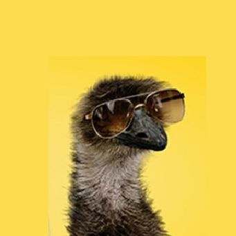 Ag3nt_Emu