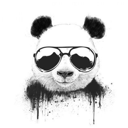 nedba