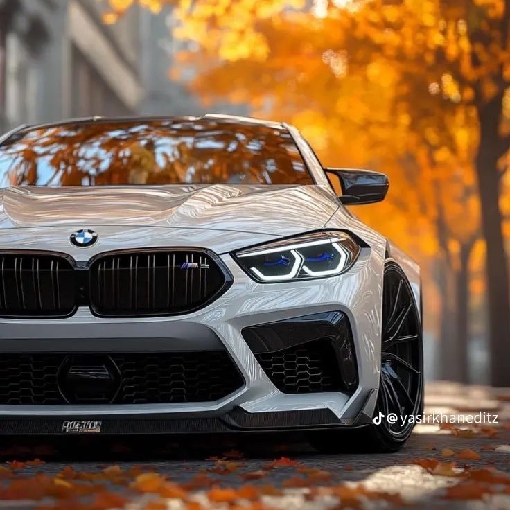 BMW013