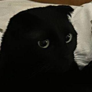 DanyaKwQ avatar