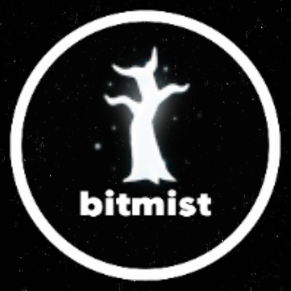 Player bitmist avatar