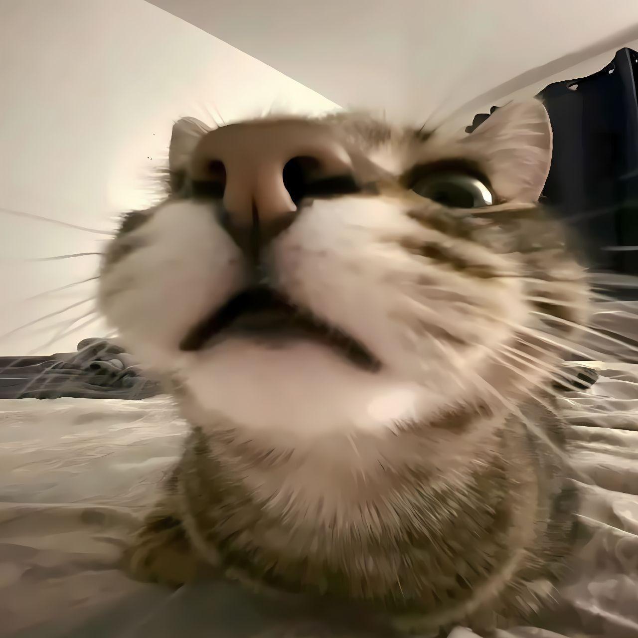 milkyww69 avatar
