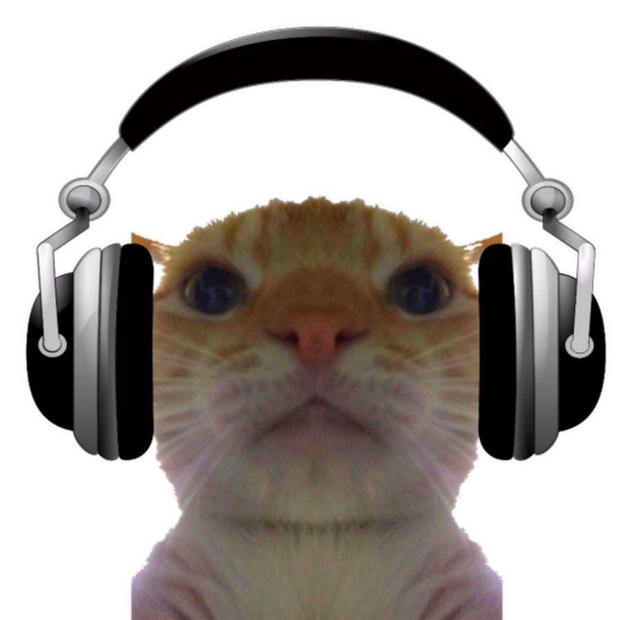 L_Cat avatar