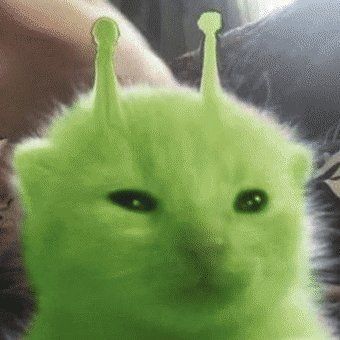 pedrofrances