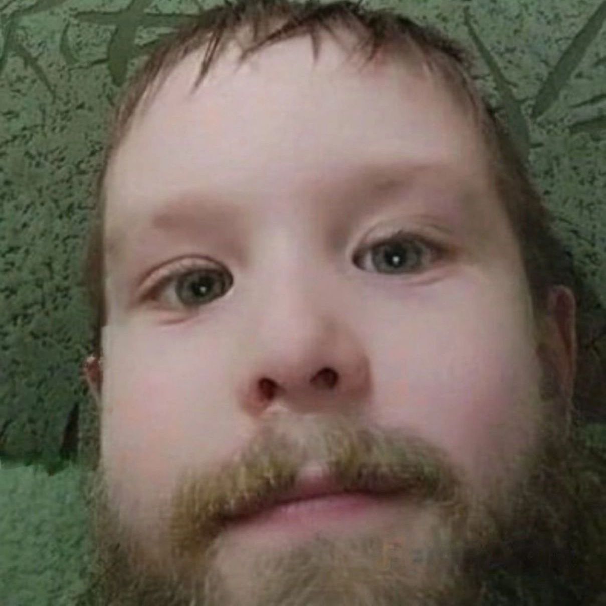 mordzov
