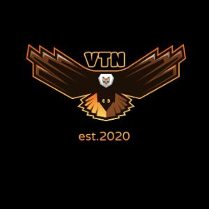 VTN ESPORTS