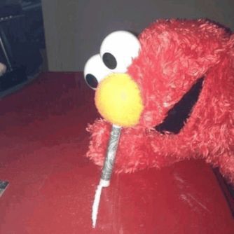 Elmo-4k FACEIT avatar