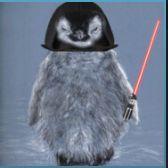 Player Penguinflops avatar
