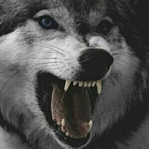 PunisherrR-