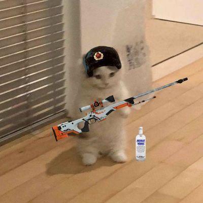lipiedealer