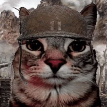 Faceit Avatar
