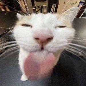 iseekyou avatar