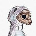 kapluneira avatar