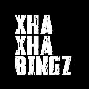 XhaXhaBingz avatar