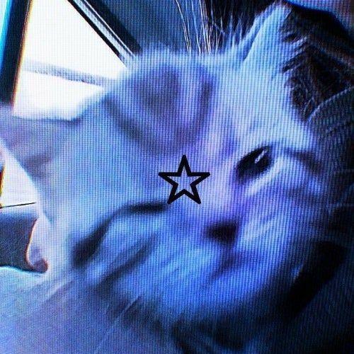 v3rons avatar