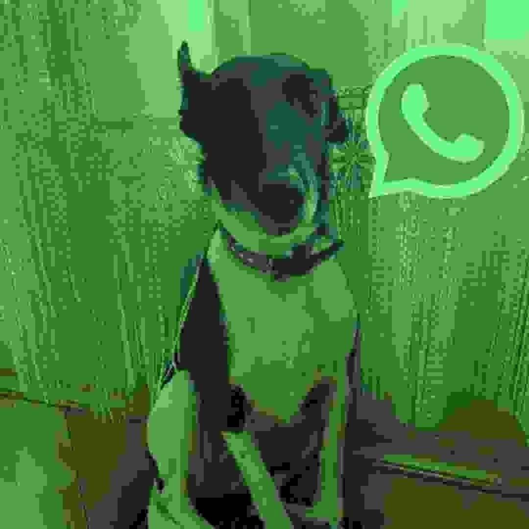 Fa9za avatar