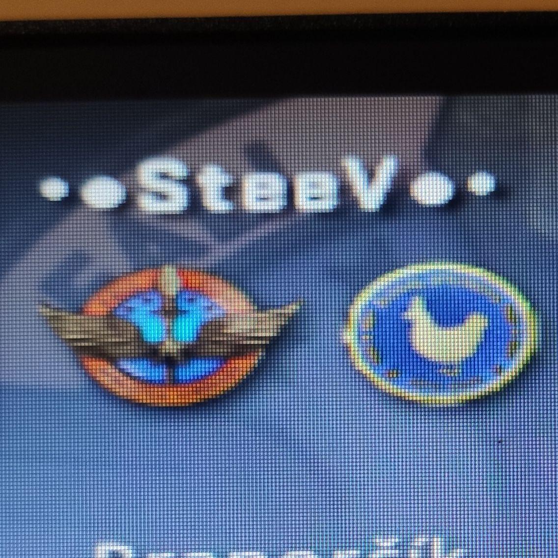 -SteeV- avatar