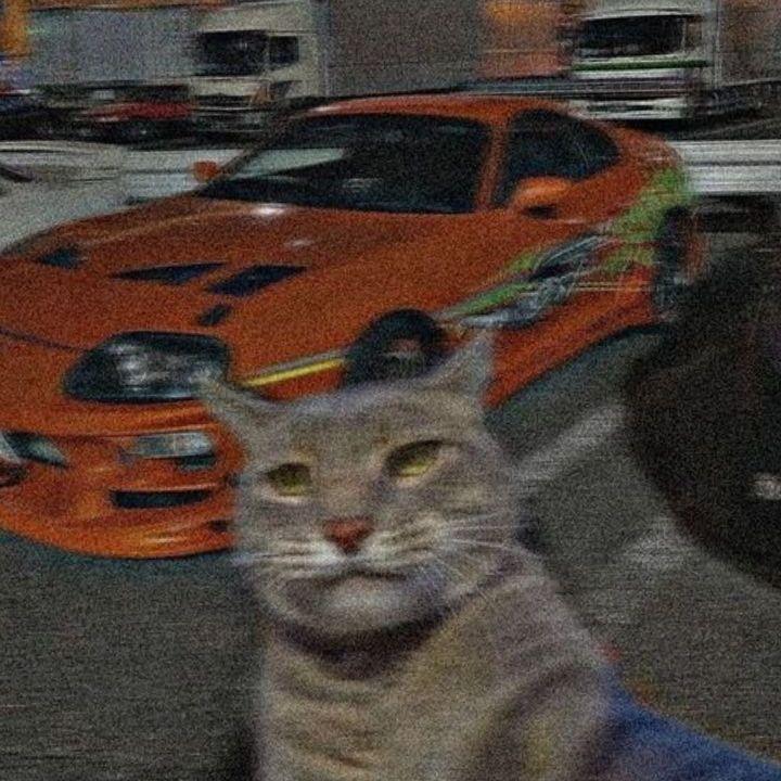 sn1pel avatar