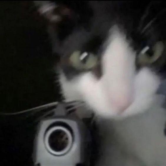 moxqw avatar