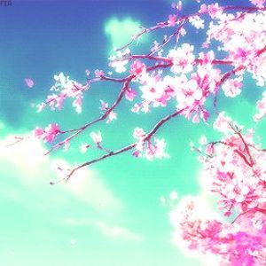OtakuSensei