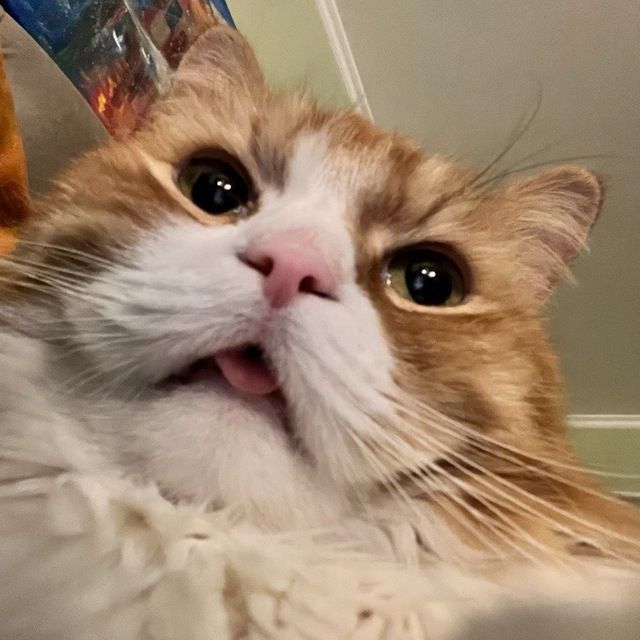 woulgak