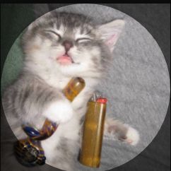 Caapito