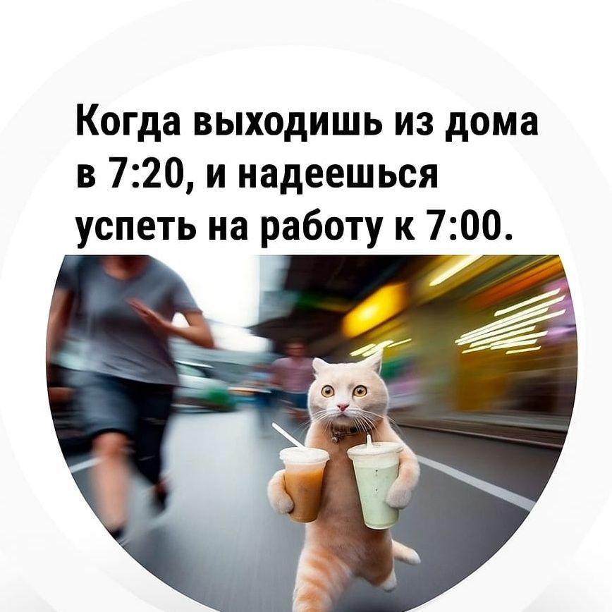 ImIret avatar