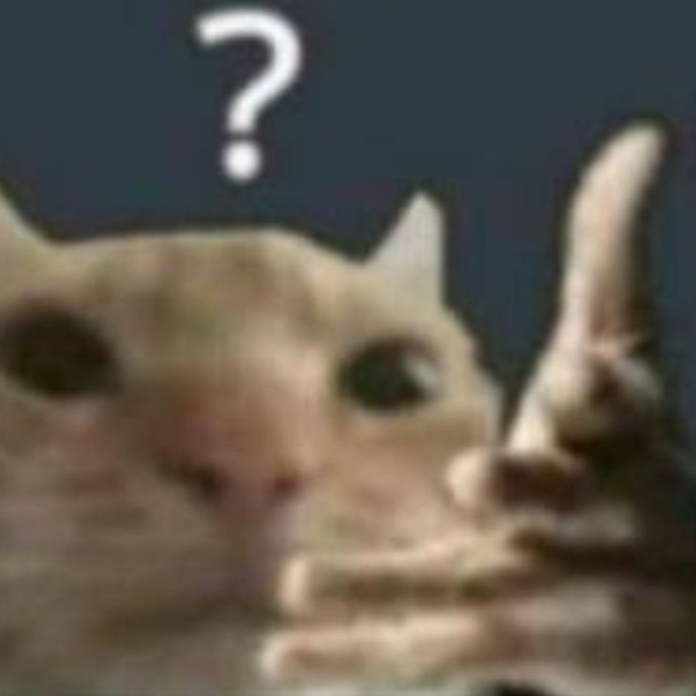 NatBoi avatar