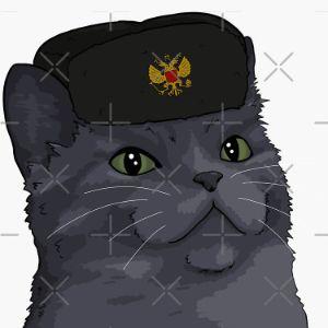 Player USSR_cat avatar