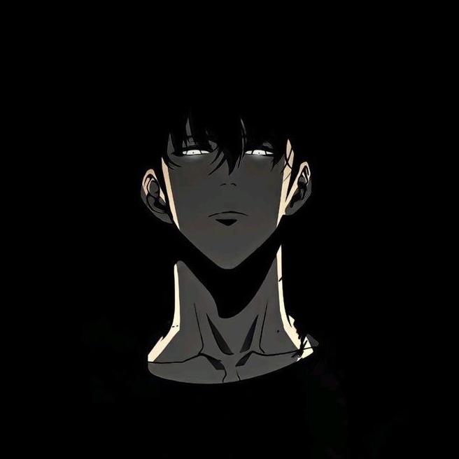 s0njinwoo avatar