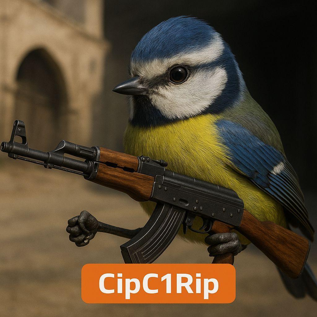 CipC1Rip avatar