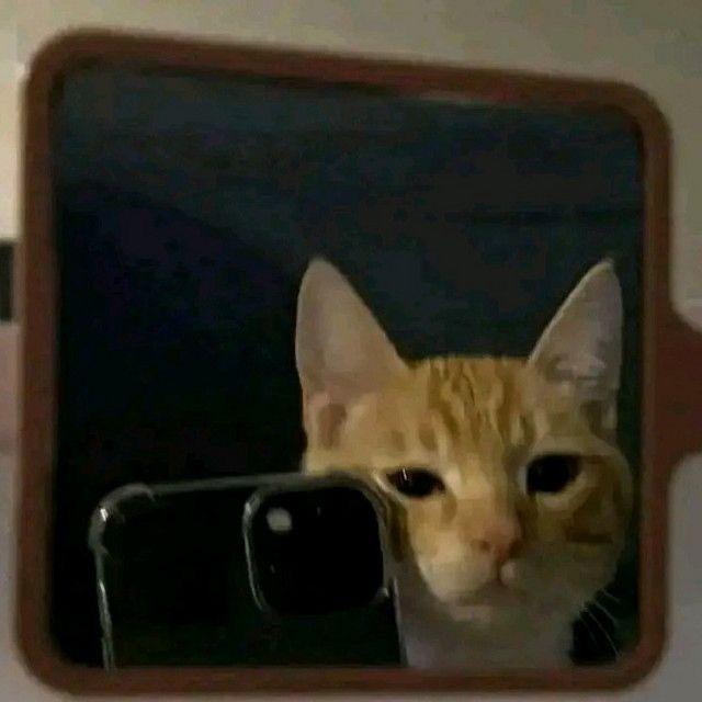 Hrasherr avatar