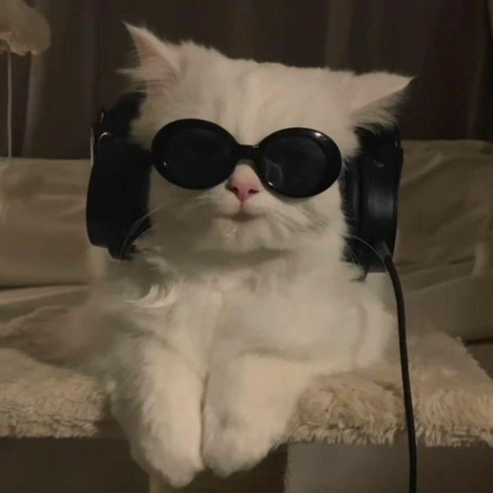 Faceit avatar