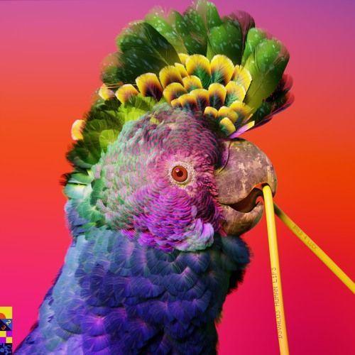 Flume-