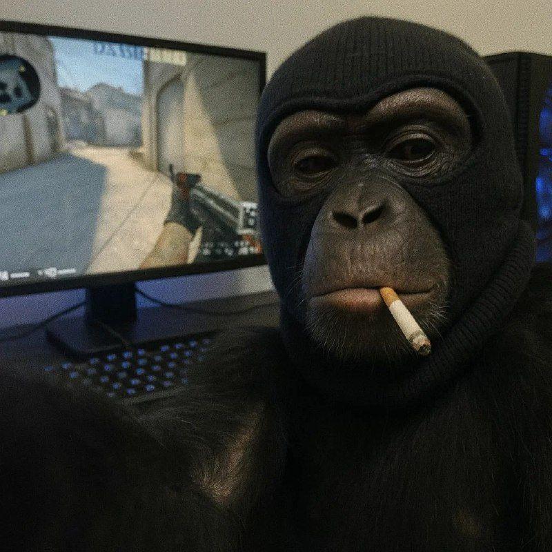 vovafreak52 avatar