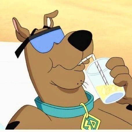 edd4nn avatar