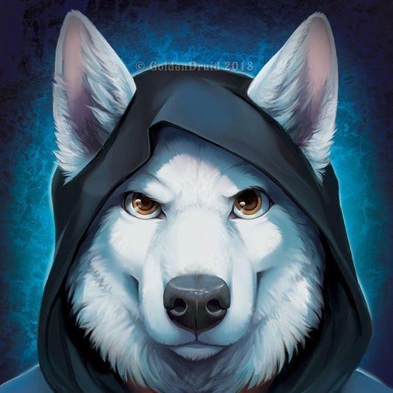 DendiCloud avatar