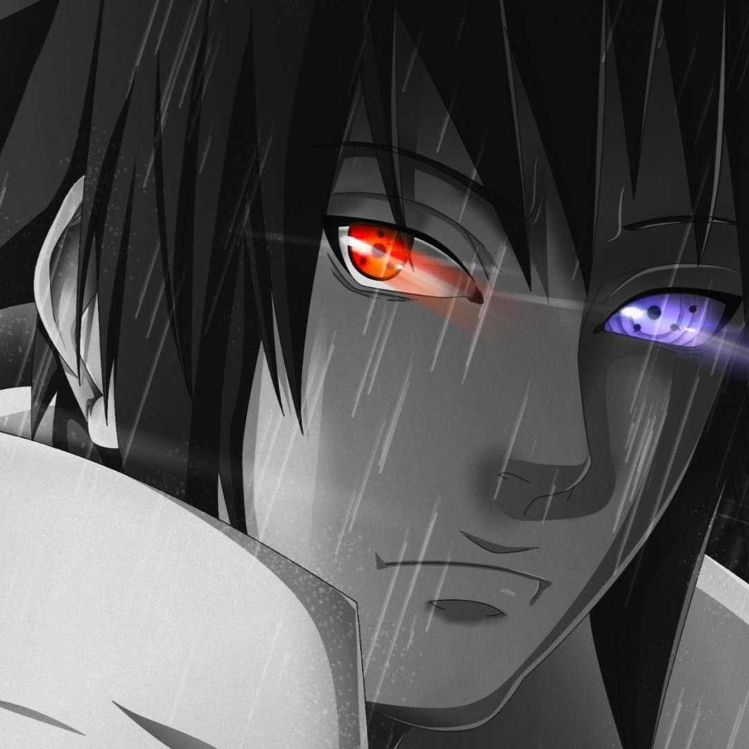 kwNN avatar