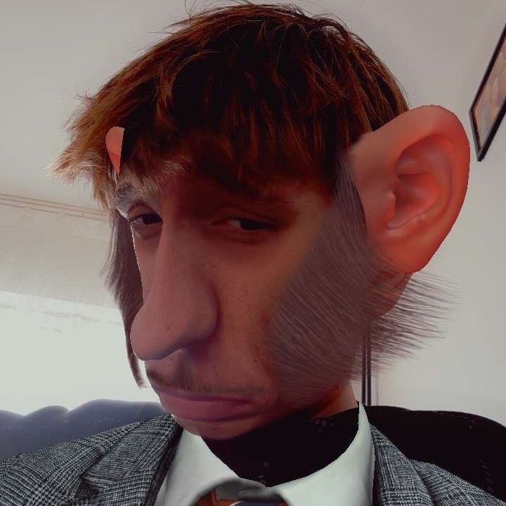 Gudixreal