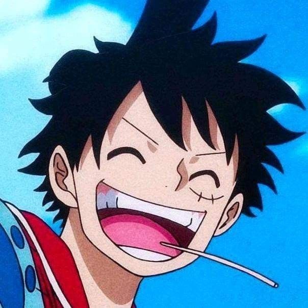 lluffy11