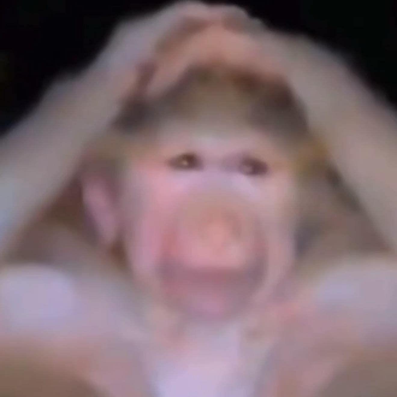 frgoit