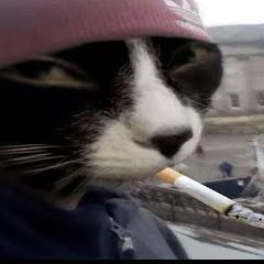 shype
