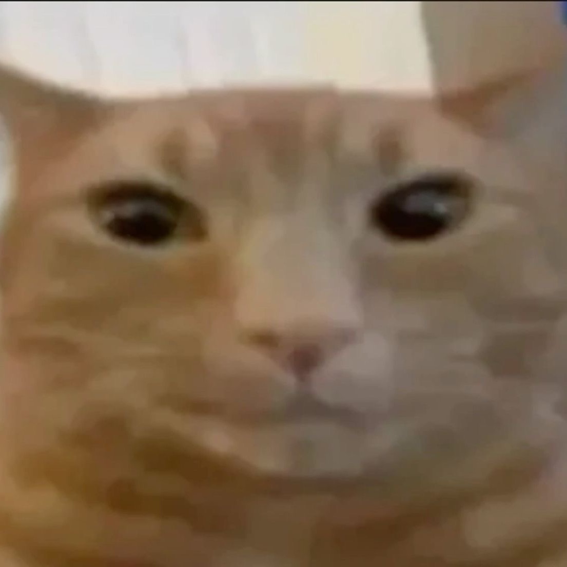 zlbvskr