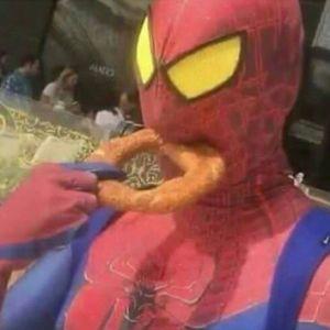 Pheash avatar