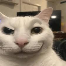 cerman1 avatar