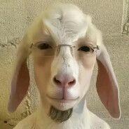 semen-sauce avatar