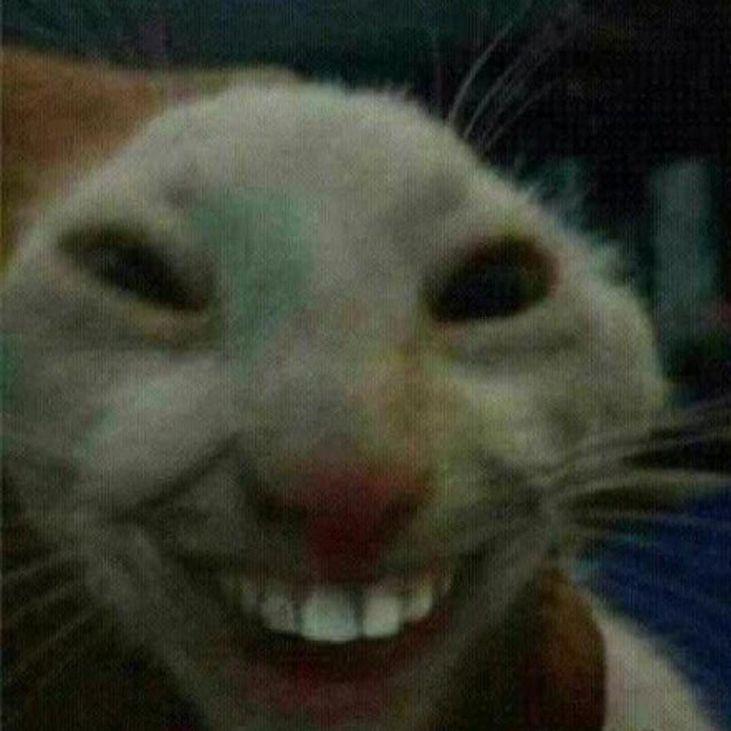 Nerwin1n avatar